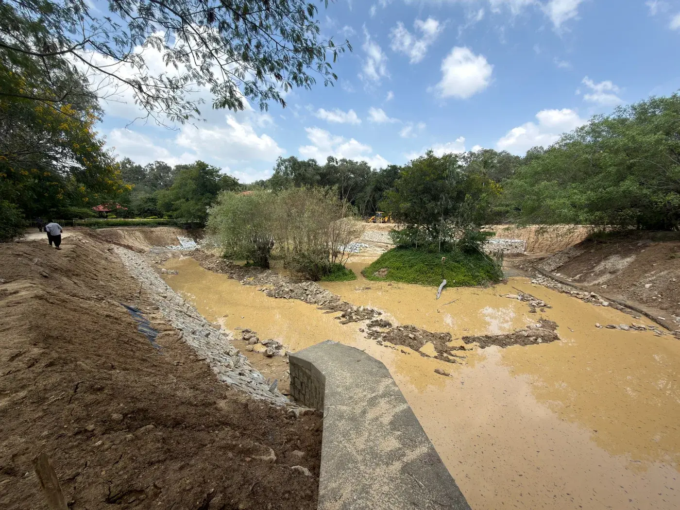 Lake Restoration photo 5