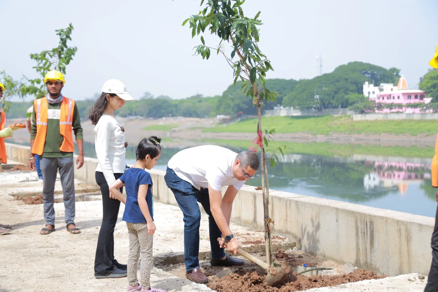 Tree Plantation photo 2