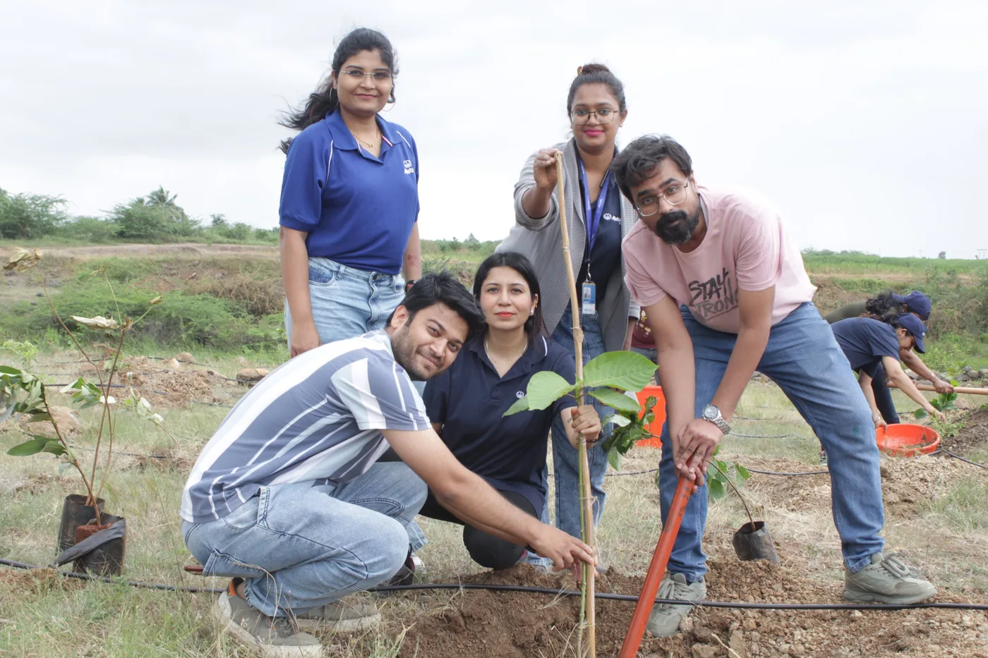 Tree Plantation photo 4
