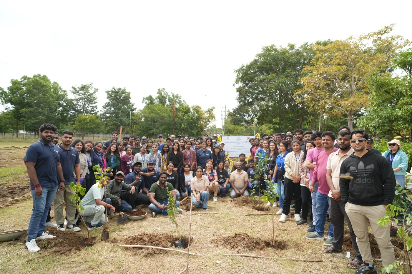 Tree Plantation photo 6