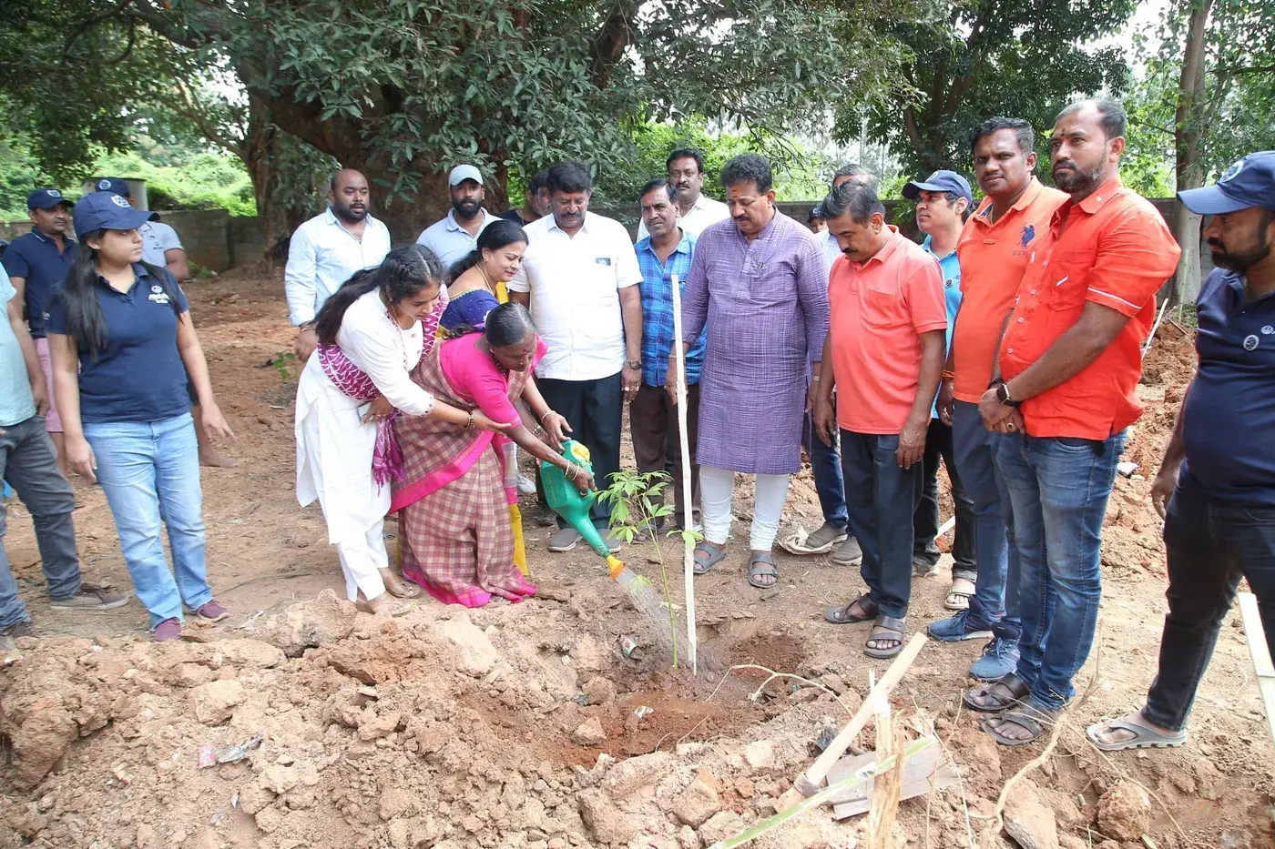 Tree Plantation photo 8