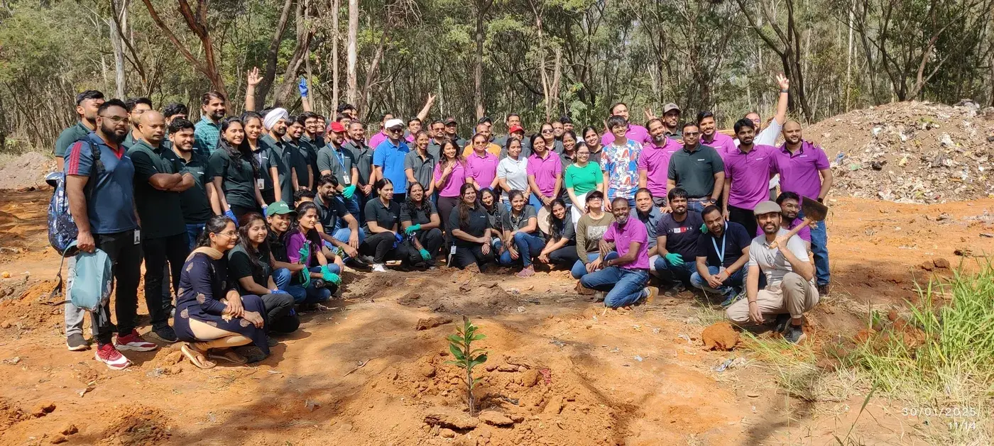 Tree Plantation photo 9